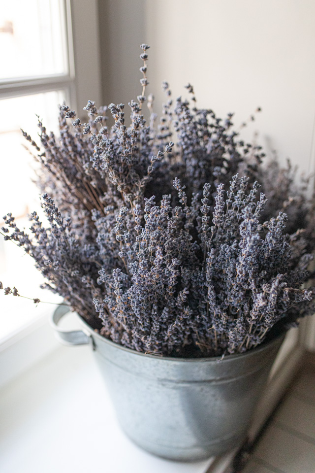 casa-perazzolo-lavandeto-7